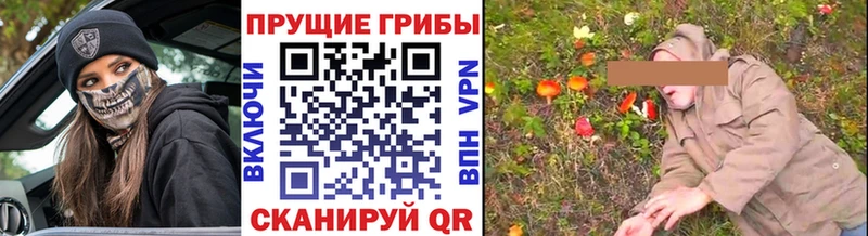 Псилоцибиновые грибы Cubensis  продажа наркотиков  Катайск 